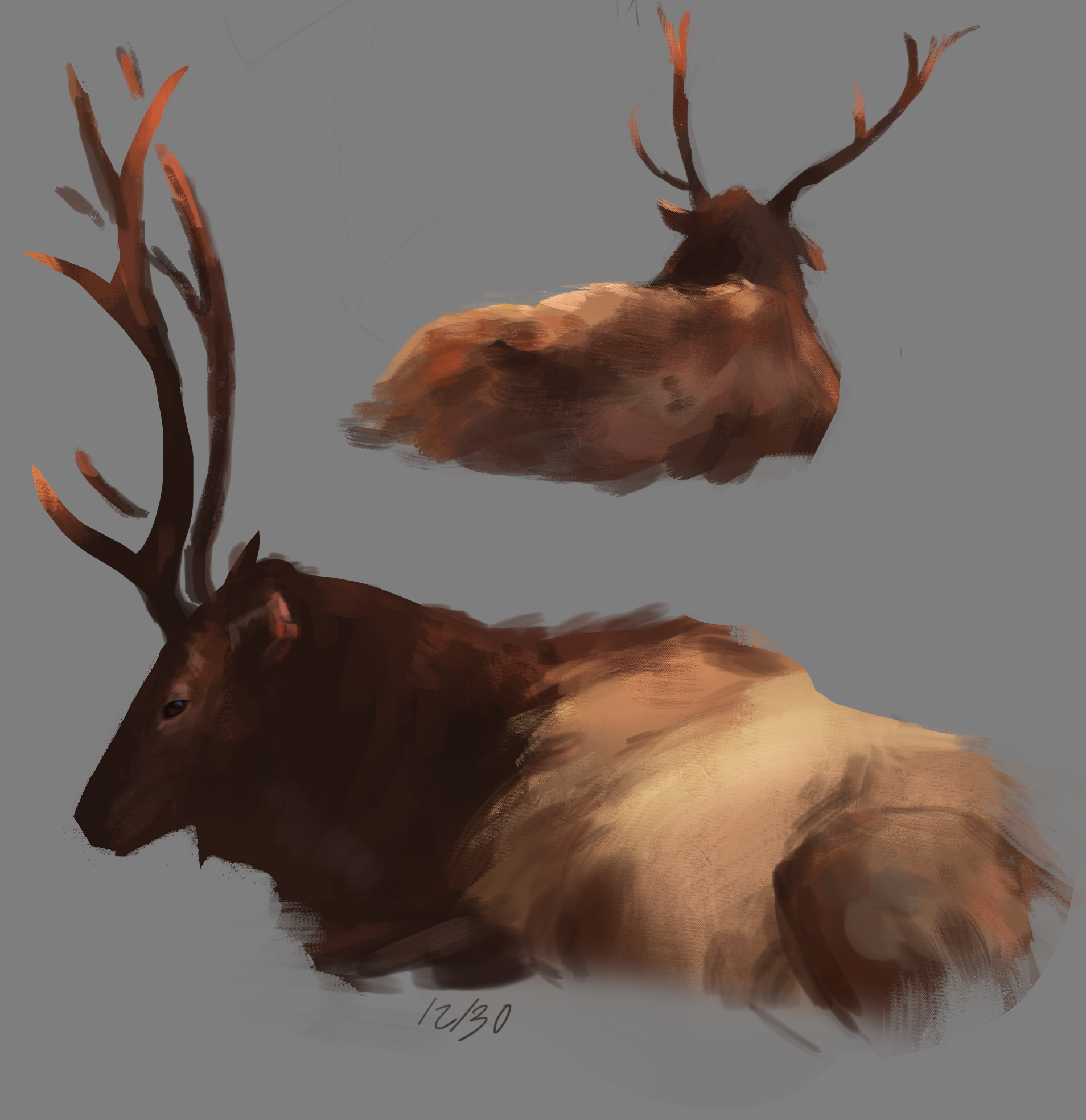 12 30 Elk